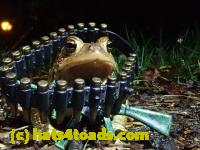 /home//u458753944/public_html/sourcegallery////Roxborough Toad Detour/2021/2021-03-31/P3310145.JPG